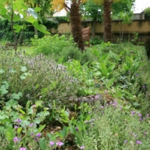 Villa Herb Garden