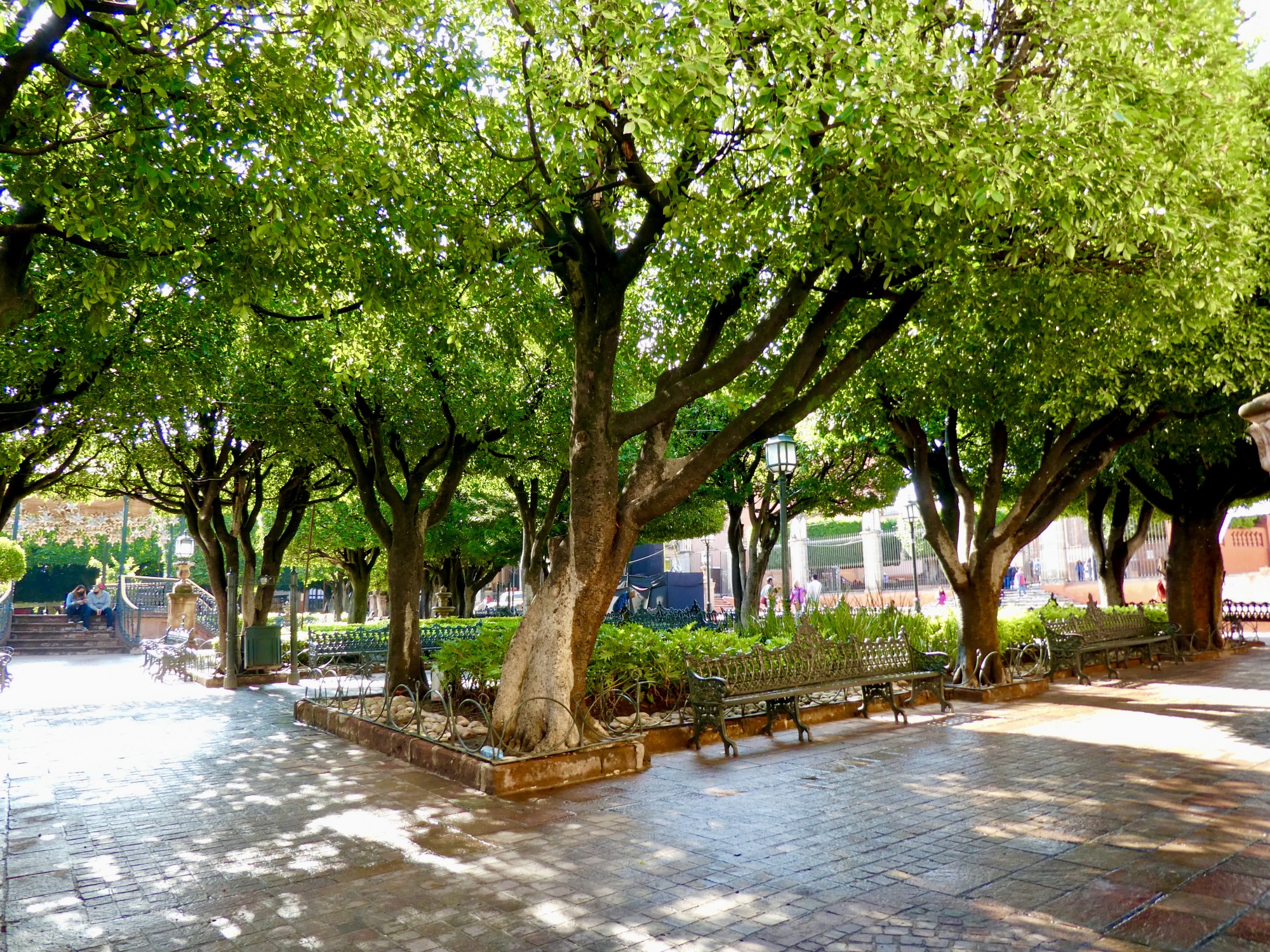 San Miquel de Allende Square