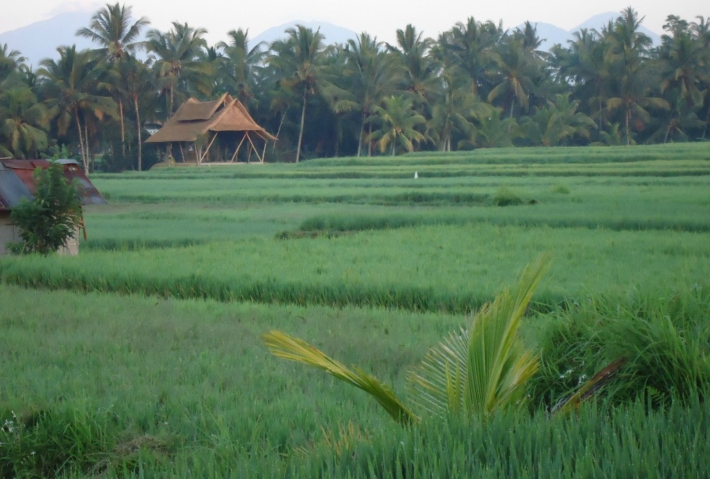 BaliDestinations