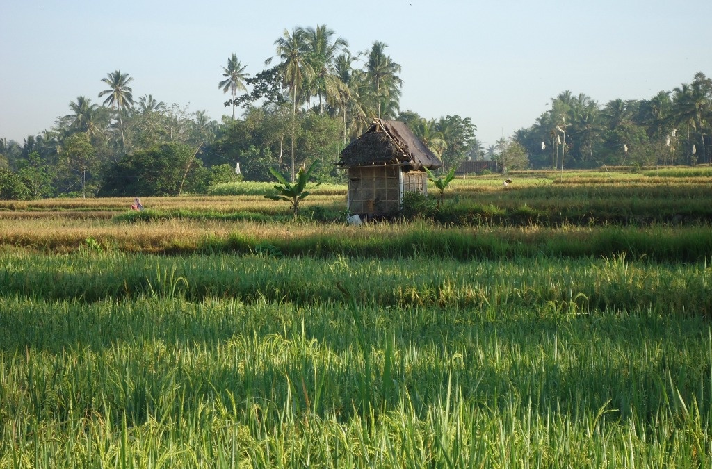 BaliDestinations1024
