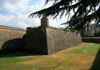 Jacca Spain