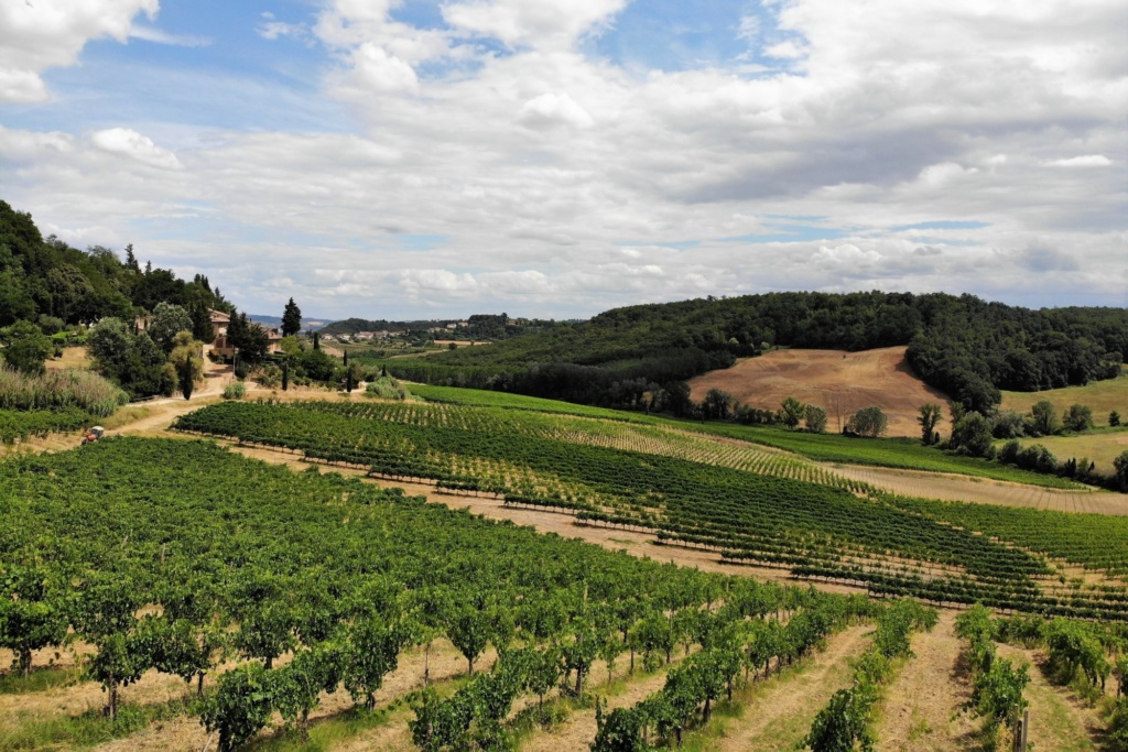 created by dji camera