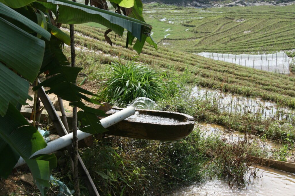 Vietnam: the Ultimate Travel Guide